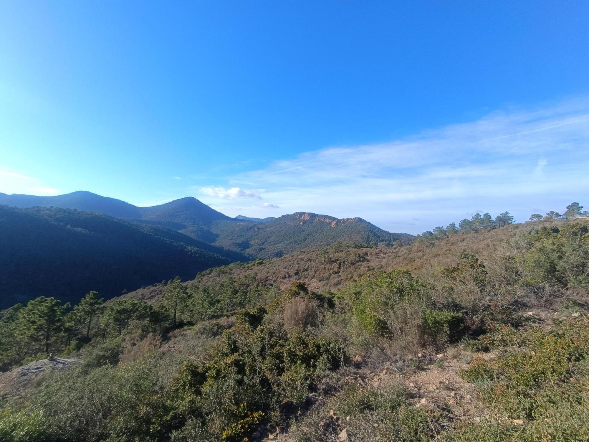 Magnifique Vue Mer Et Piscine - Les Cles De L Esterel Théoule-sur-Mer Zewnętrze zdjęcie