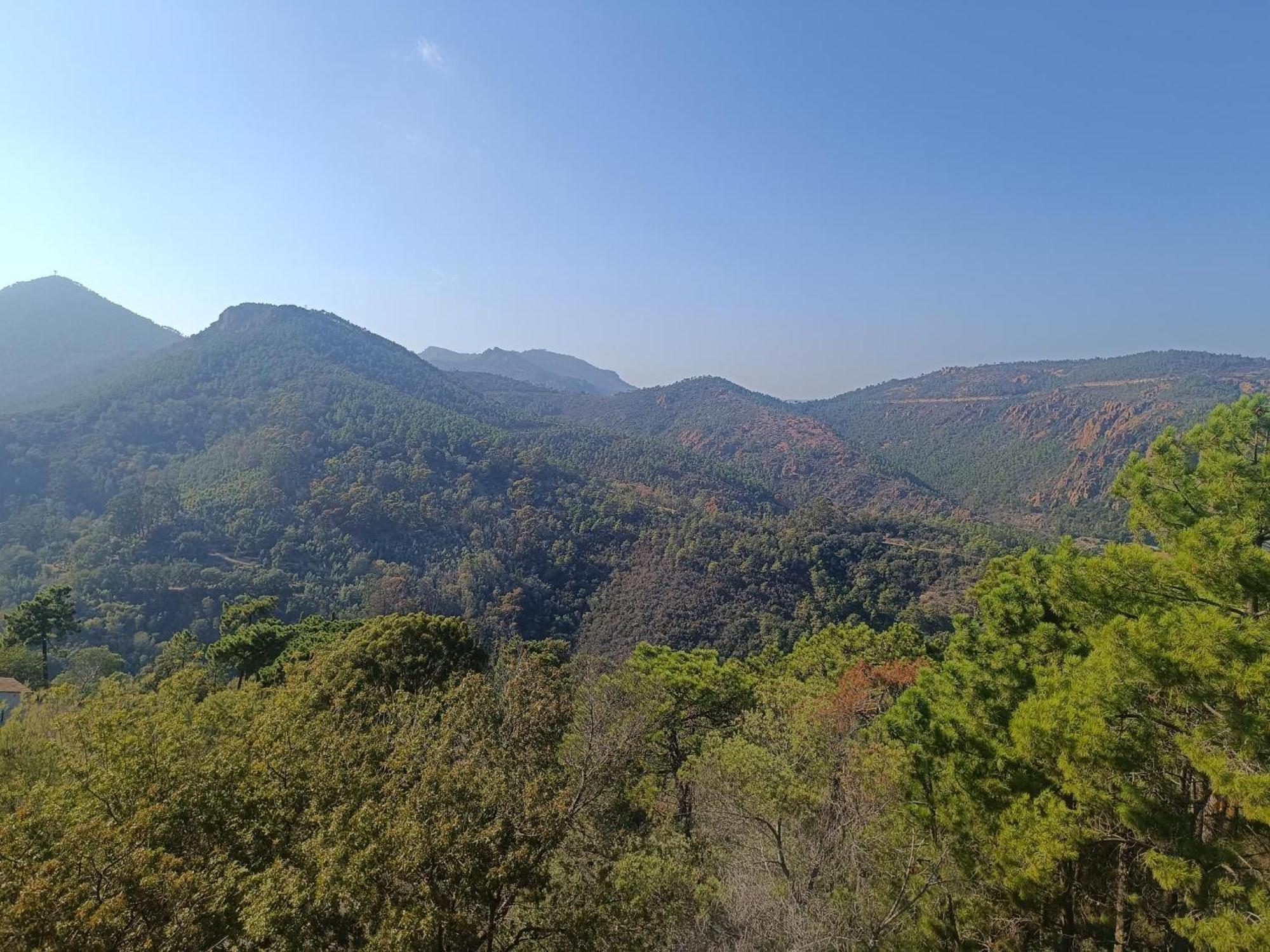 Magnifique Vue Mer Et Piscine - Les Cles De L Esterel Théoule-sur-Mer Zewnętrze zdjęcie