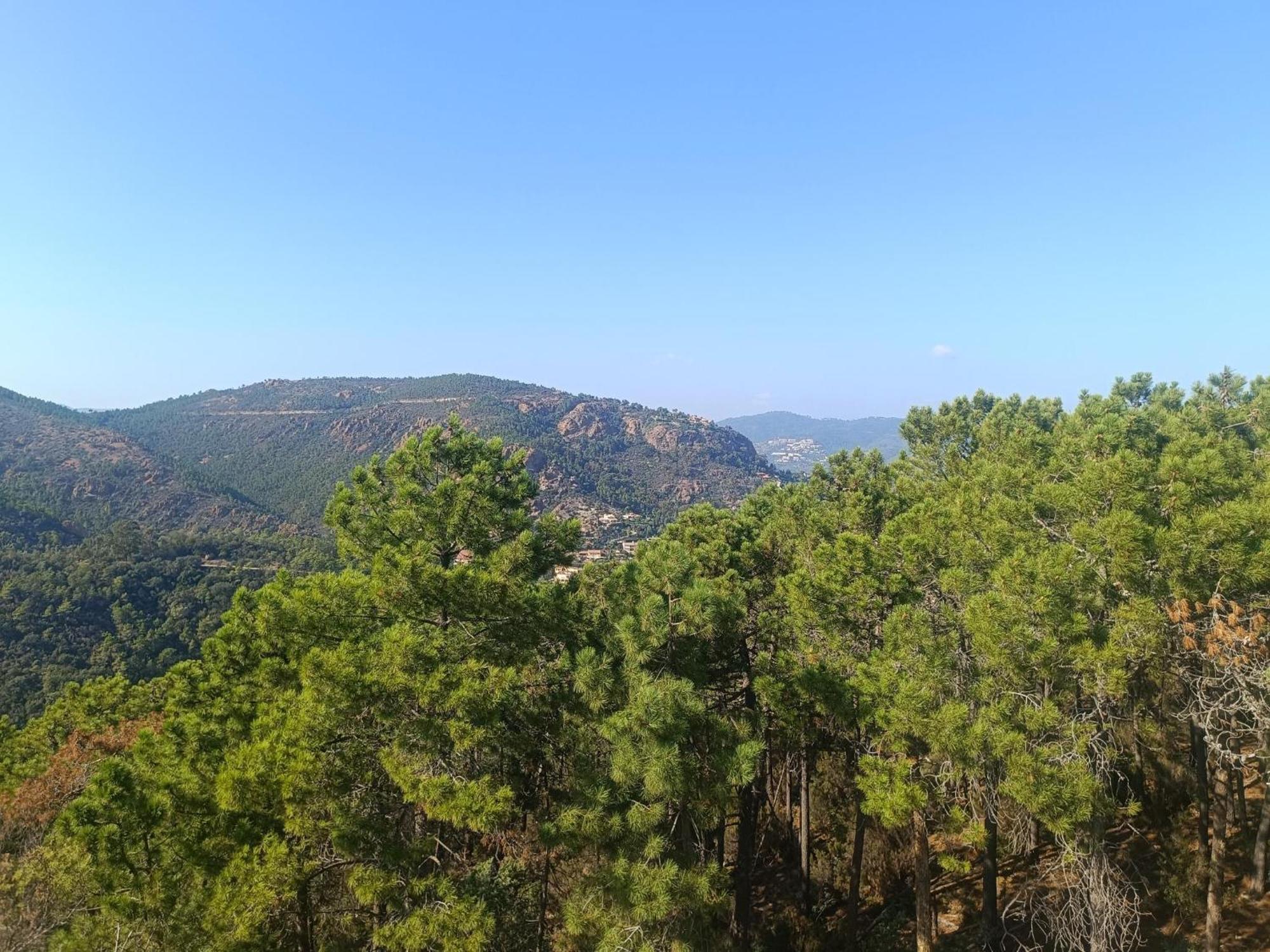 Magnifique Vue Mer Et Piscine - Les Cles De L Esterel Théoule-sur-Mer Zewnętrze zdjęcie
